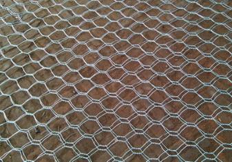 pvc石籠網(wǎng) pvc石籠網(wǎng)